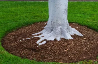What Are the Benefits of Mulching Your Lawn?