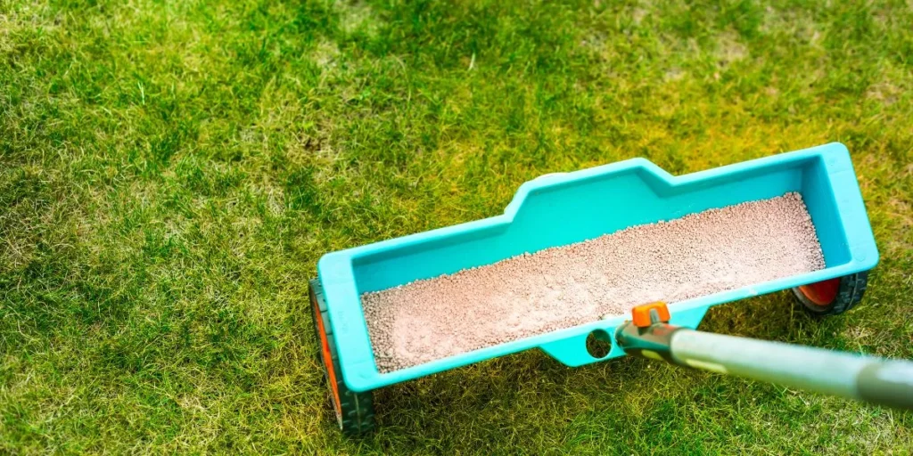 Organic Lawn Care Methods for a Greener Yard Organic Lawn Care Methods for a Greener Yard
