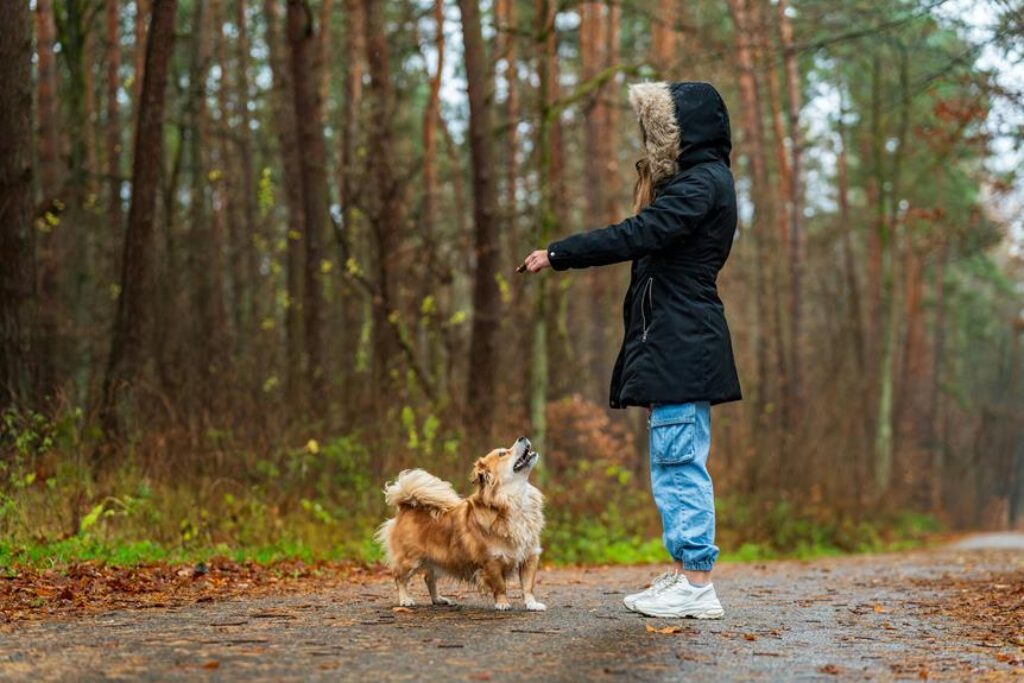 How Can Smart Sensors Help You Understand Your Pet’s Behavior? How Can Smart Sensors Help You Understand Your Pet’s Behavior?